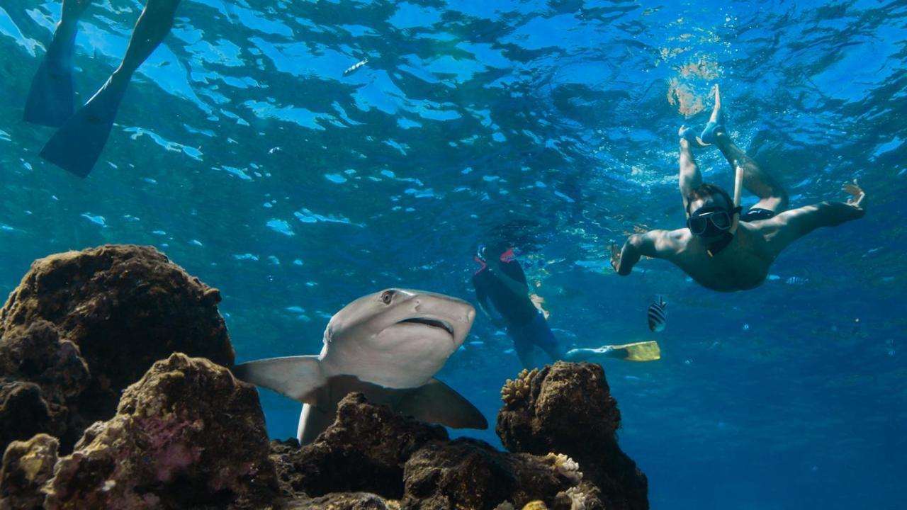 Kuata Island 베어풋 쿠아타 빌라 외부 사진